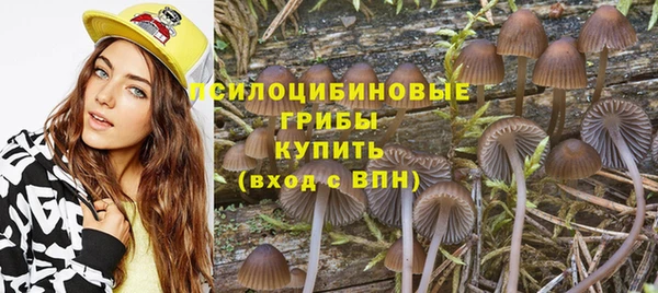 каннабис Арсеньев