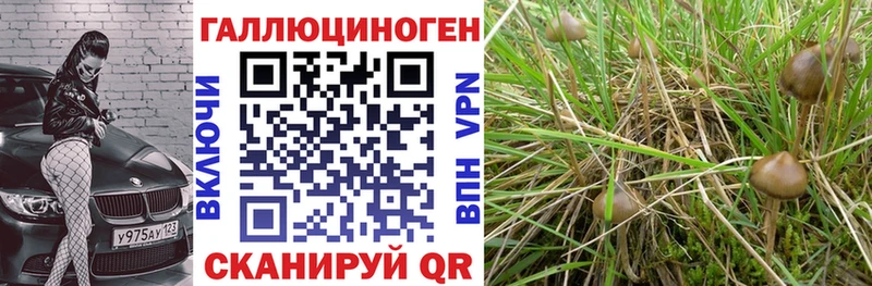 Галлюциногенные грибы мицелий  мега tor  Лермонтов 